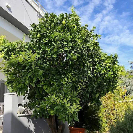 By The Sea Seget Vranjica, Trogir - 10328 Seget Vranjica